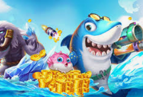 kiayun网页版2024最新版